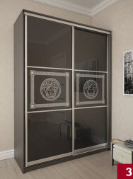 Шкаф-купе Премиум 13